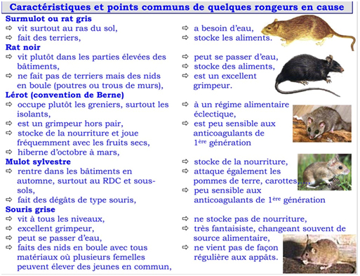 Sans titre-1 copie