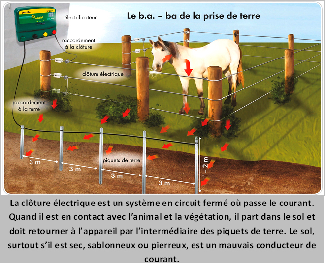 Comparaison entre une clôture barbelée et une clôture électrique Patura